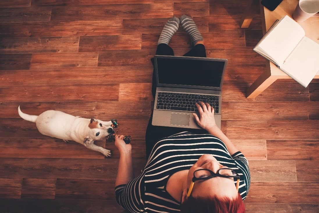 A woman working from home with a dog.